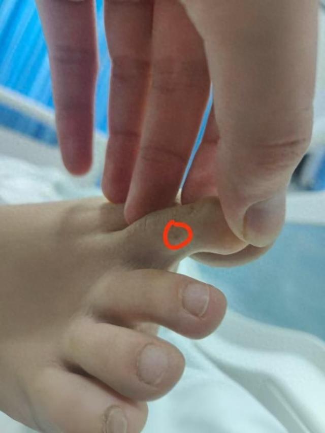 应质疑：没提任何索赔只希望调查清楚麻将胡了三亚身亡女游客堂姐直播回(图1)