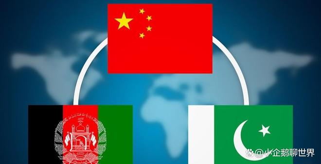 坦阿富汗想通了双方恢复关系维护中巴走廊PG电子麻将胡了模拟器中国斡旋后巴基斯(图4)