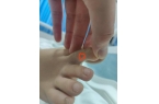 应质疑：没提任何索赔只希望调查清楚麻将胡